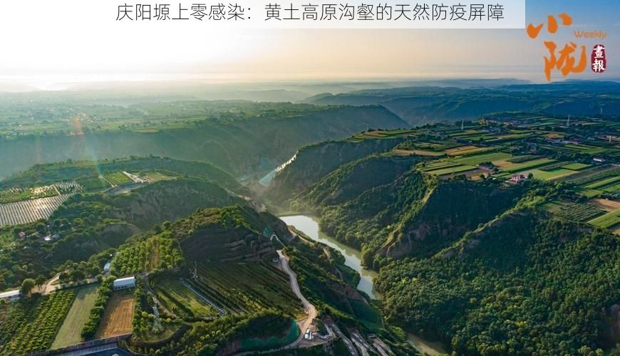 庆阳塬上零感染:黄土高原沟壑的天然防疫屏障