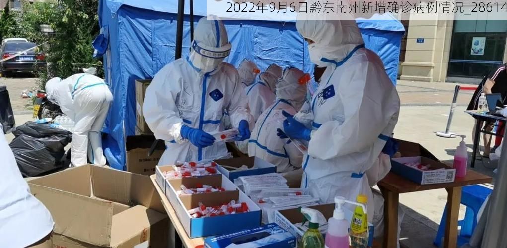 2022年9月6日黔东南州新增确诊病例情况_28614