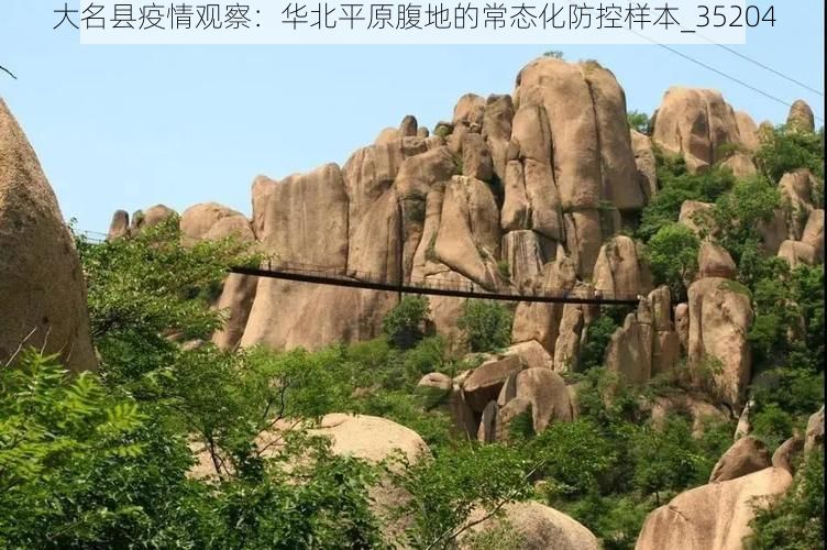 大名县疫情观察：华北平原腹地的常态化防控样本_35204