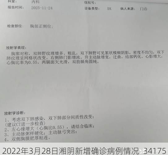 2022年3月28日湘阴新增确诊病例情况_34175