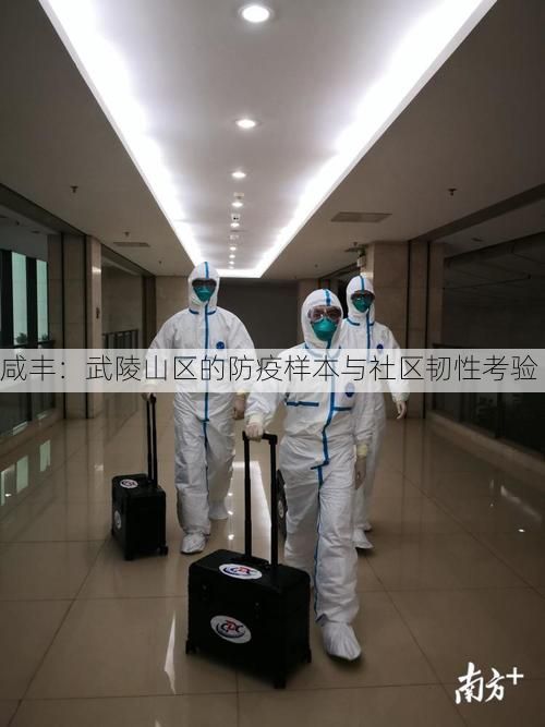 咸丰:武陵山区的防疫样本与社区韧性考验
