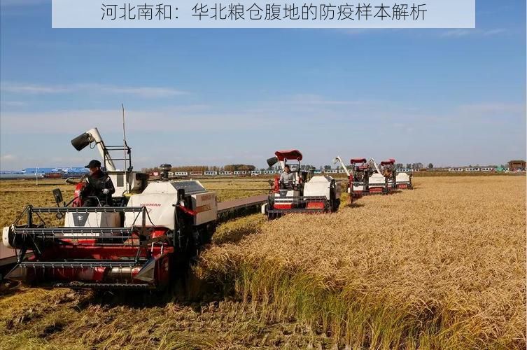 河北南和:华北粮仓腹地的防疫样本解析
