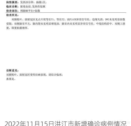 2022年11月15日洪江市新增确诊病例情况
