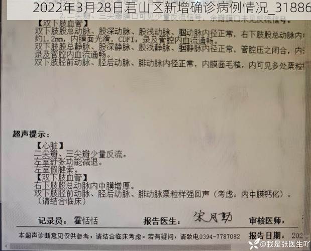 2022年3月28日君山区新增确诊病例情况_31886
