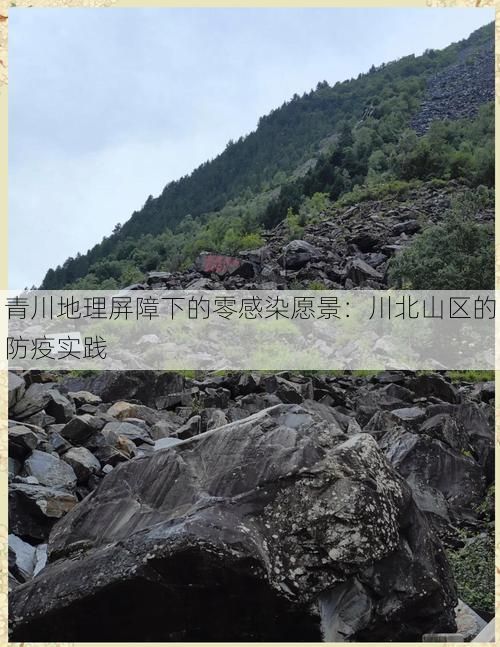 青川地理屏障下的零感染愿景：川北山区的防疫实践