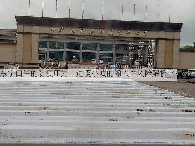 东宁口岸的防疫压力：边境小城的输入性风险解析_49697