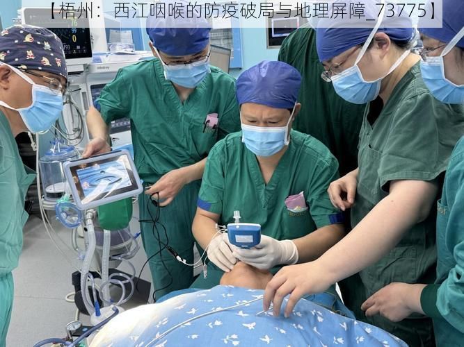 【梧州:西江咽喉的防疫破局与地理屏障_73775】