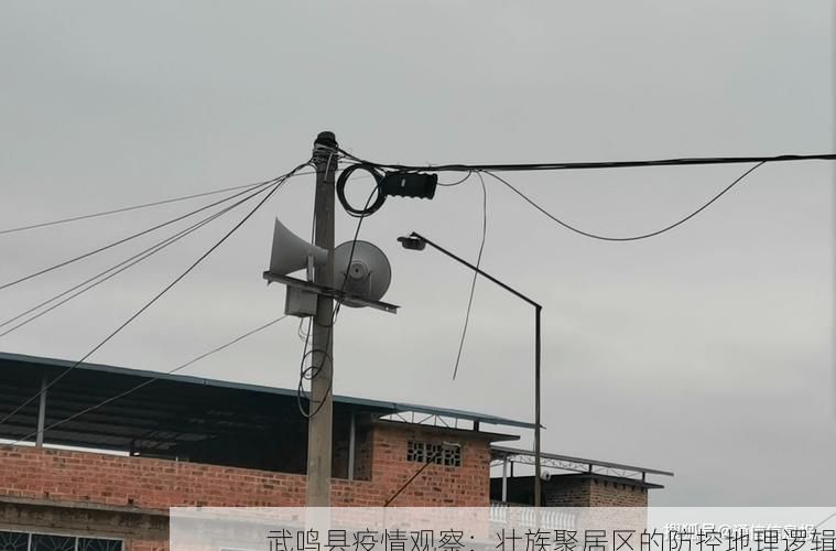 武鸣县疫情观察:壮族聚居区的防控地理逻辑