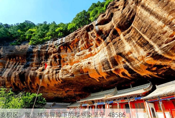 麦积区：陇上林海屏障下的零感染坚守_48586