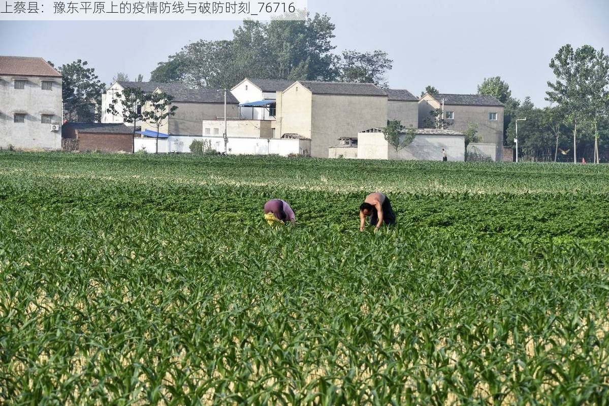 上蔡县:豫东平原上的疫情防线与破防时刻_76716