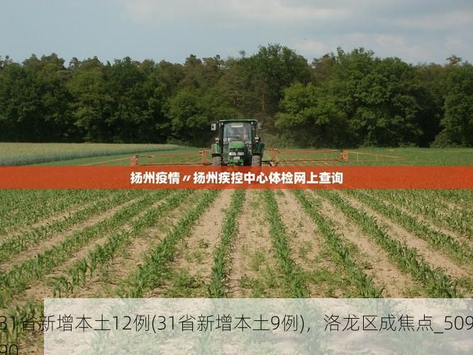 31省新增本土12例(31省新增本土9例),洛龙区成焦点_50990