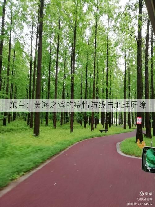 东台：黄海之滨的疫情防线与地理屏障