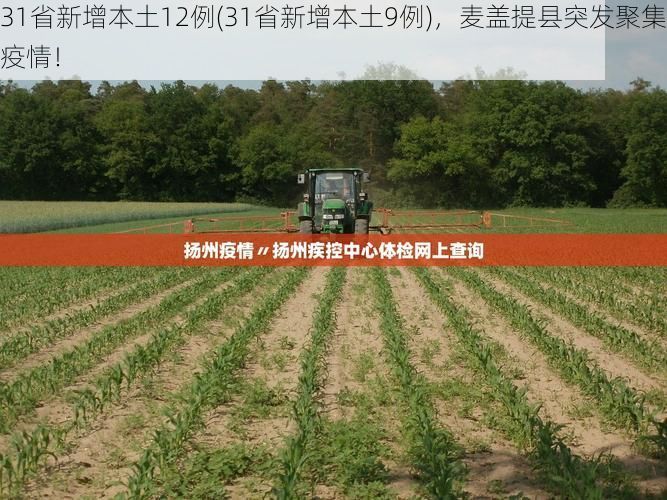 31省新增本土12例(31省新增本土9例)，麦盖提县突发聚集疫情！
