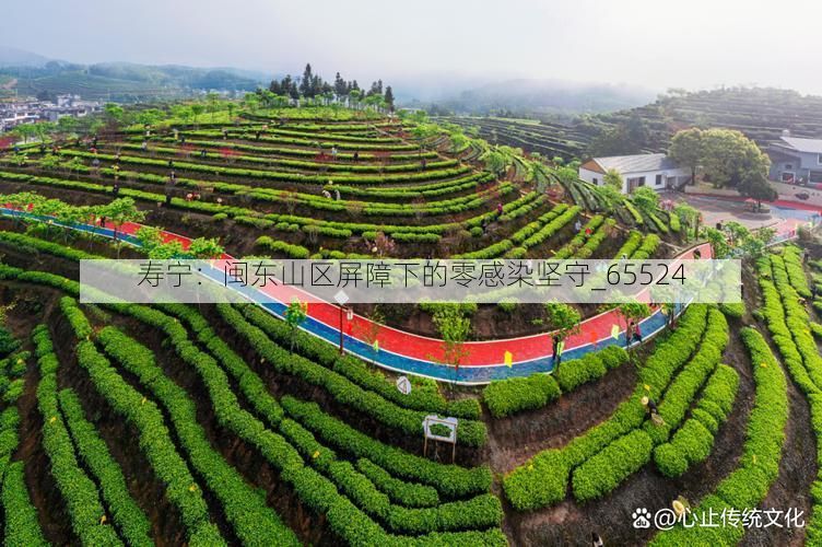 寿宁:闽东山区屏障下的零感染坚守_65524