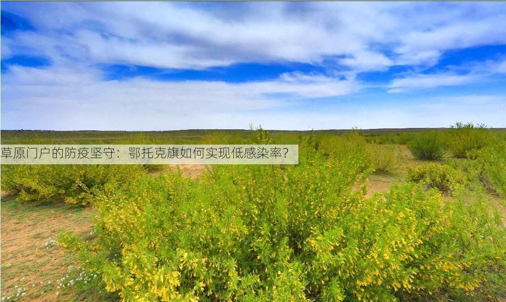 草原门户的防疫坚守:鄂托克旗如何实现低感染率?