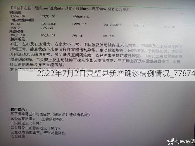 2022年7月2日灵璧县新增确诊病例情况_77874