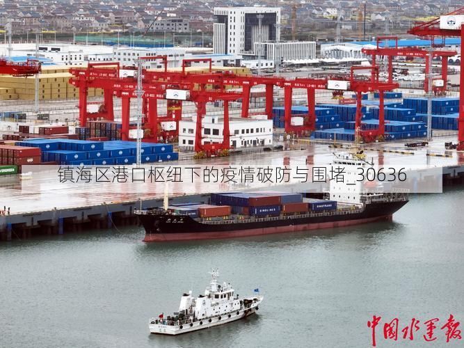 镇海区港口枢纽下的疫情破防与围堵_30636