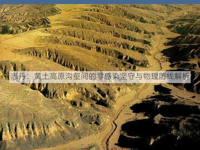 志丹：黄土高原沟壑间的零感染坚守与物理防线解析