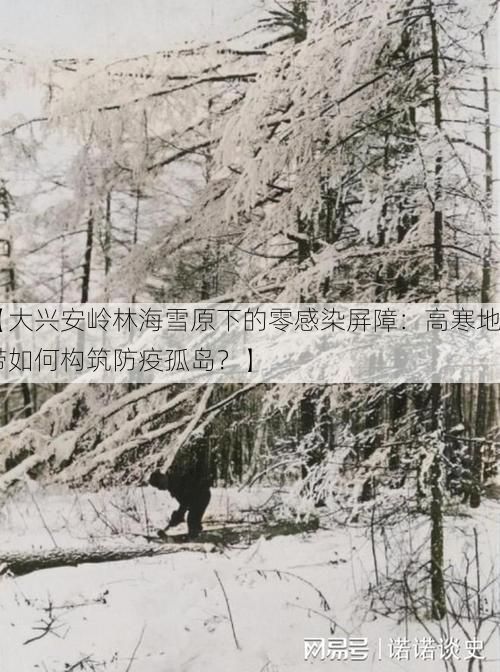 【大兴安岭林海雪原下的零感染屏障：高寒地带如何构筑防疫孤岛？】