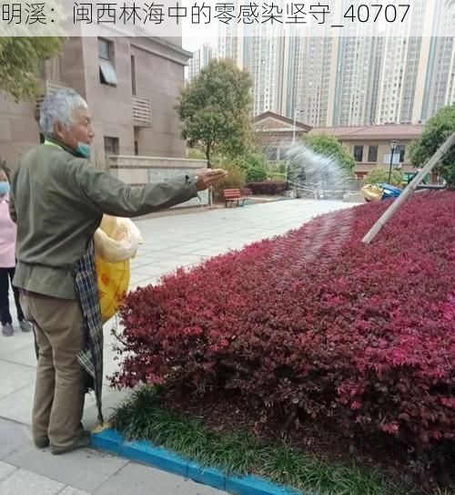 明溪:闽西林海中的零感染坚守_40707