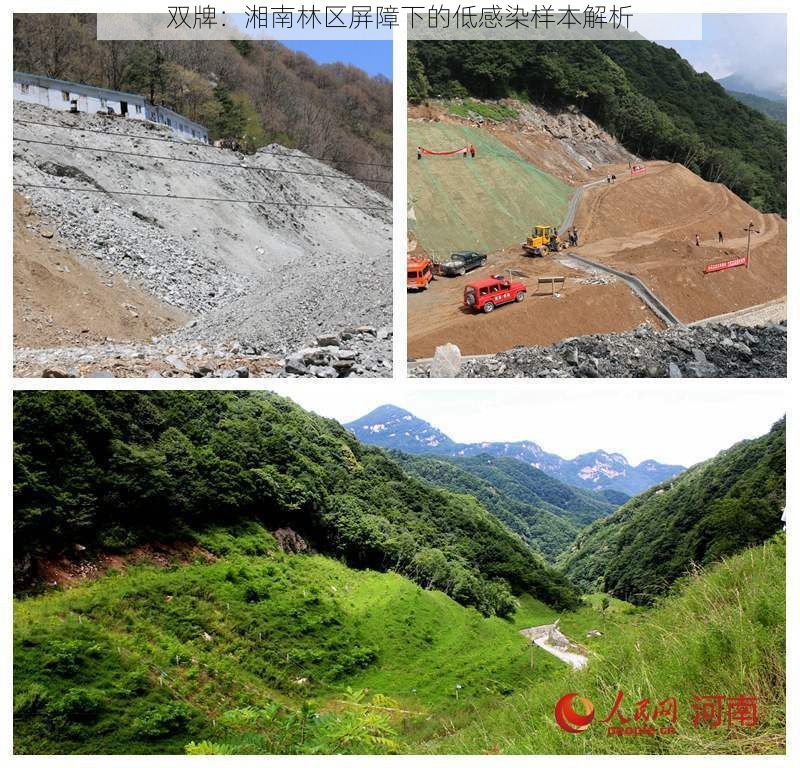 双牌：湘南林区屏障下的低感染样本解析