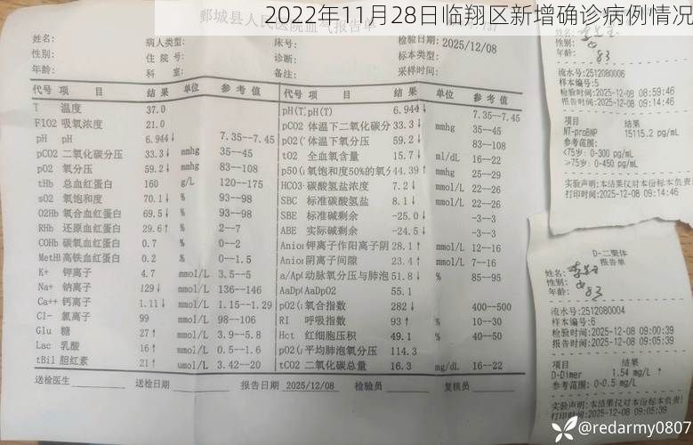 2022年11月28日临翔区新增确诊病例情况
