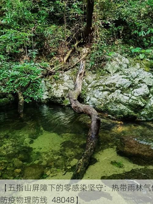 【五指山屏障下的零感染坚守：热带雨林气候的防疫物理防线_48048】