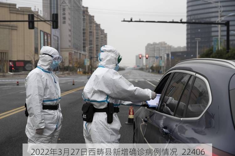 2022年3月27日西畴县新增确诊病例情况_22406