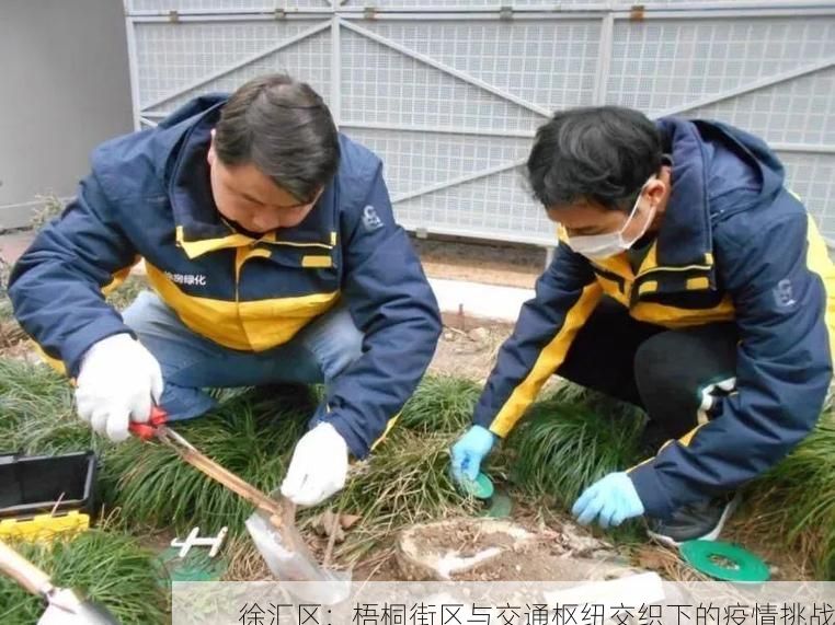 徐汇区：梧桐街区与交通枢纽交织下的疫情挑战