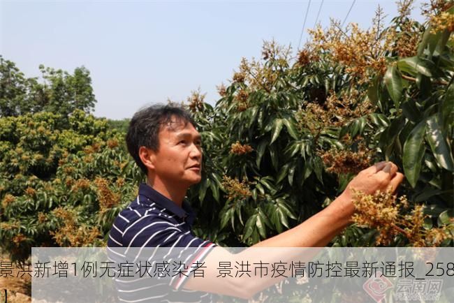 【景洪新增1例无症状感染者  景洪市疫情防控最新通报_25853】