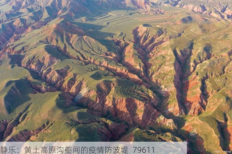 静乐：黄土高原沟壑间的疫情防波堤_79611