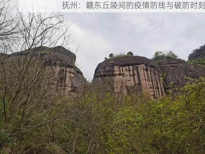抚州：赣东丘陵间的疫情防线与破防时刻