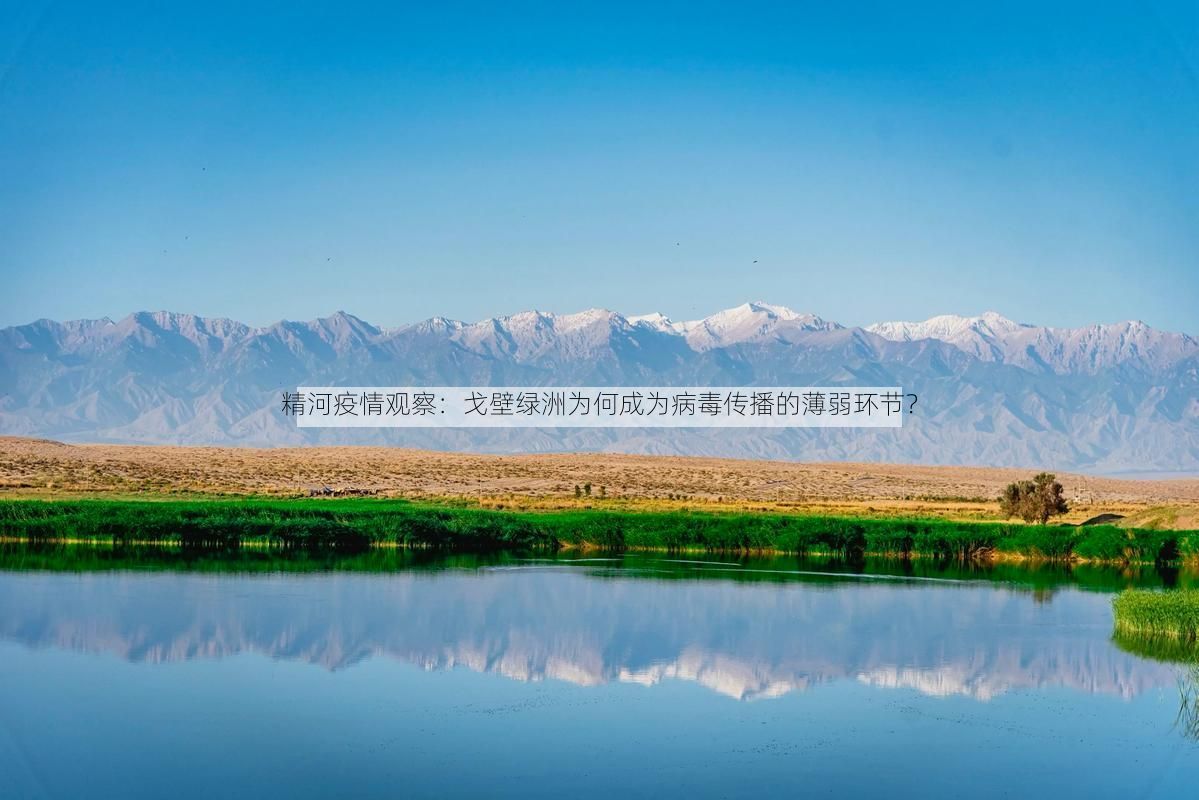 精河疫情观察：戈壁绿洲为何成为病毒传播的薄弱环节？