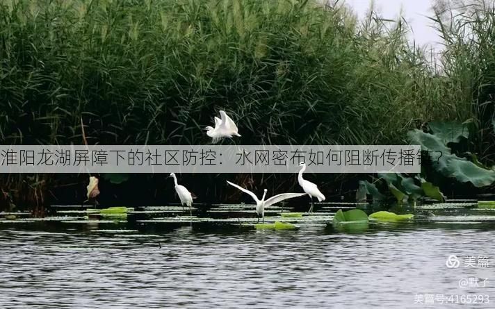 淮阳龙湖屏障下的社区防控：水网密布如何阻断传播链？