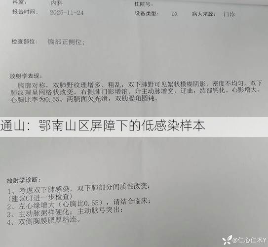 通山：鄂南山区屏障下的低感染样本