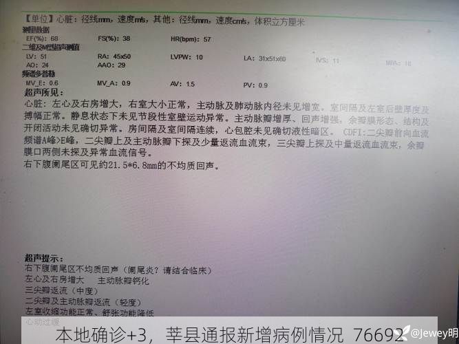 本地确诊+3，莘县通报新增病例情况_76692