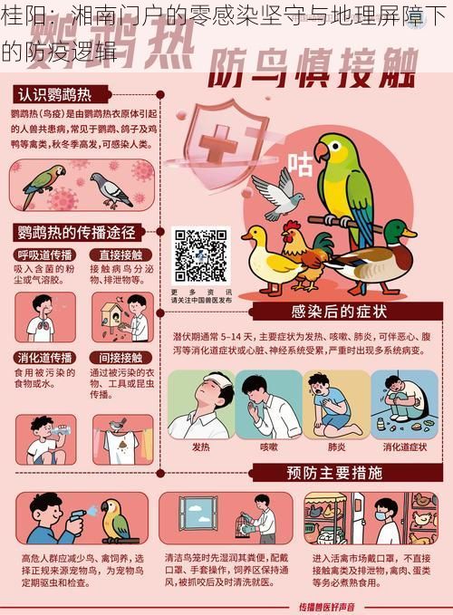 桂阳：湘南门户的零感染坚守与地理屏障下的防疫逻辑