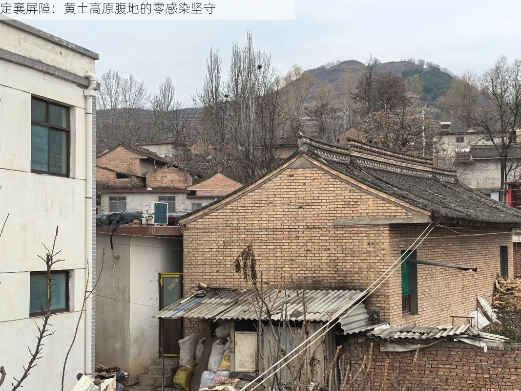 定襄屏障：黄土高原腹地的零感染坚守