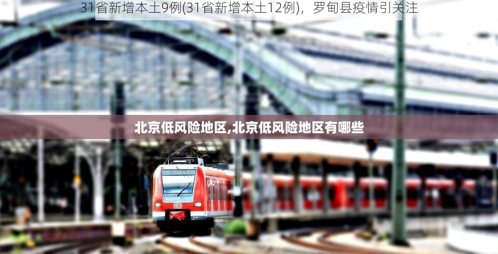 31省新增本土9例(31省新增本土12例)，罗甸县疫情引关注