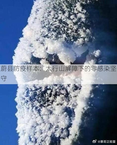 蔚县防疫样本：太行山屏障下的零感染坚守