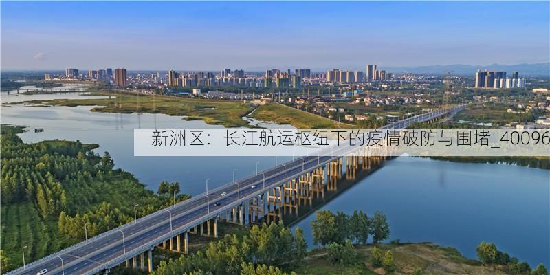 新洲区：长江航运枢纽下的疫情破防与围堵_40096