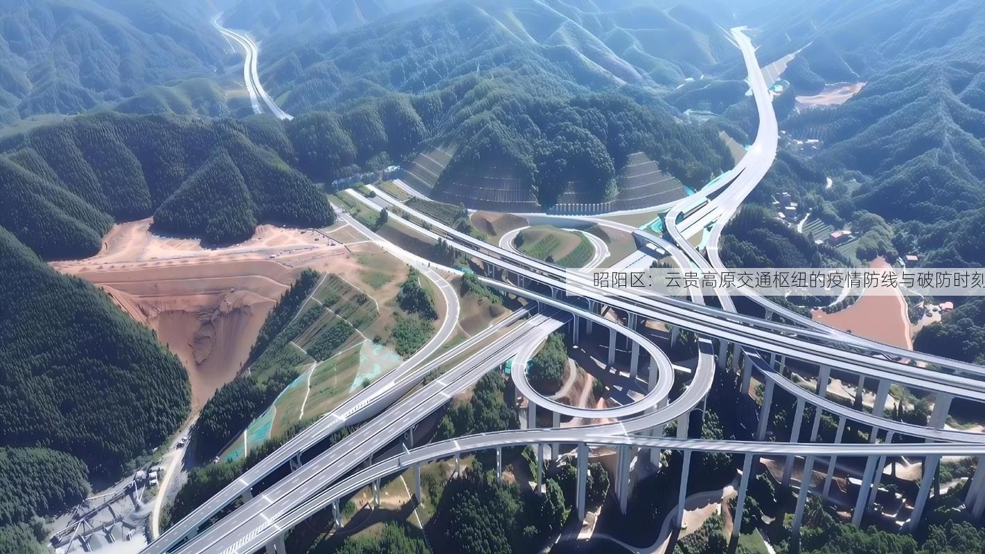 昭阳区：云贵高原交通枢纽的疫情防线与破防时刻