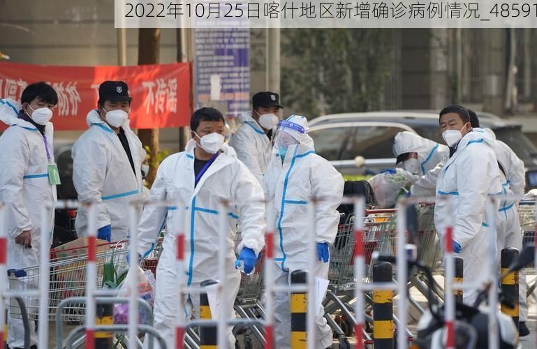 2022年10月25日喀什地区新增确诊病例情况_48591