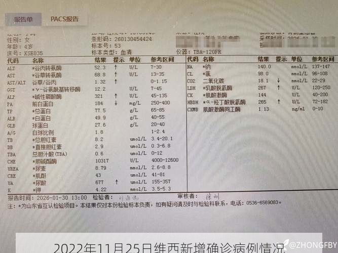 2022年11月25日维西新增确诊病例情况