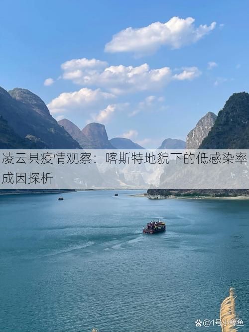 凌云县疫情观察：喀斯特地貌下的低感染率成因探析