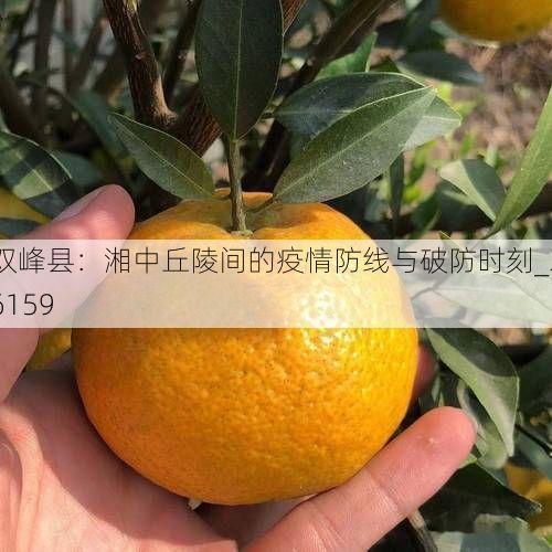 双峰县:湘中丘陵间的疫情防线与破防时刻_36159