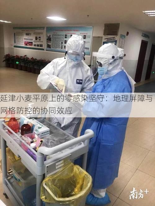 延津小麦平原上的零感染坚守:地理屏障与网格防控的协同效应