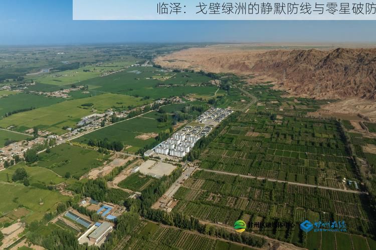 临泽:戈壁绿洲的静默防线与零星破防