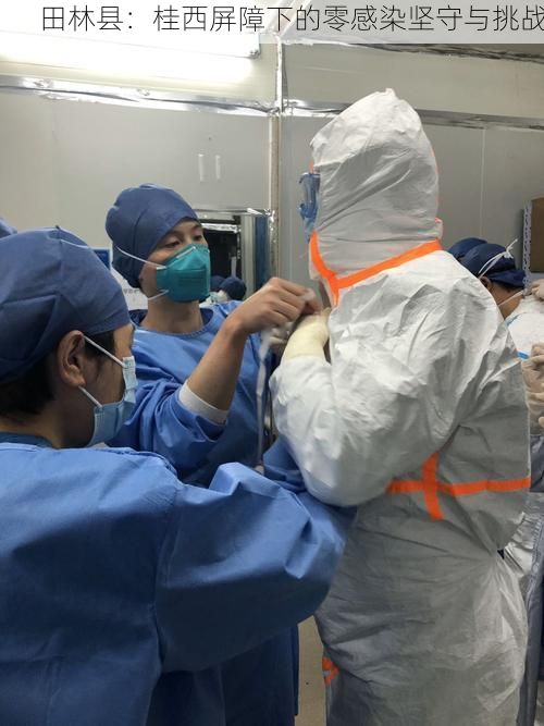 田林县:桂西屏障下的零感染坚守与挑战