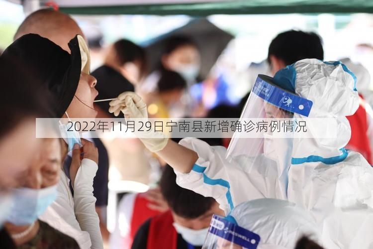 2022年11月29日宁南县新增确诊病例情况